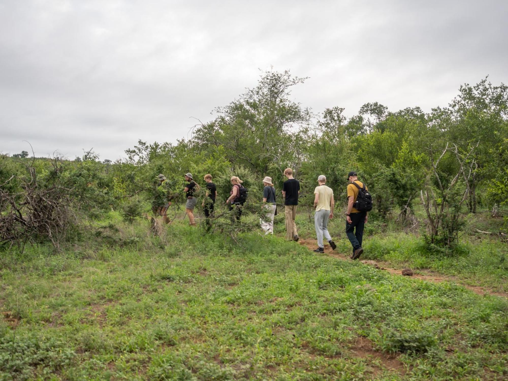 Nyati Safari Lodge Hoedspruit Ngoại thất bức ảnh
